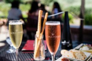 2023-2024赛季西甲联赛黄牌统计全解析西甲联赛累计几张黄牌了